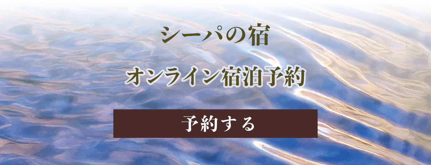 �V�[�p�̓��̃I�����C���h���\��͂�����