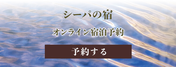 �V�[�p�̓��̃I�����C���h���\��͂�����